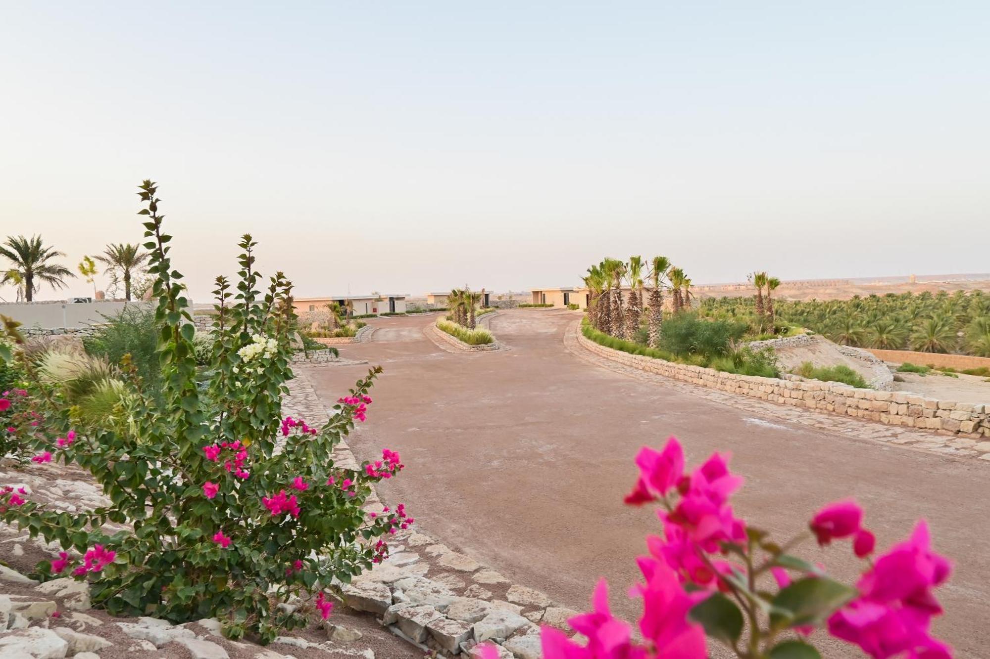 Al Malfa Resort Унайза Экстерьер фото